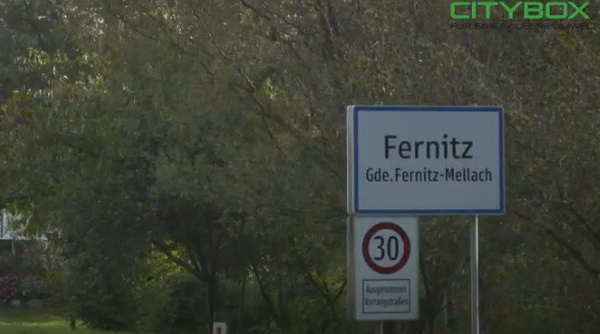 fernitz fernitz